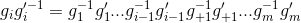 g_ig_i^{\prime -1}=g_1g_1^{\prime -1}...g_{i-1}g_{i-1}^{\prime -1} g_{i+1}g_{i+1}^{\prime -1}...g_mg_m^{\prime -1}