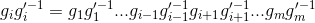 g_i g^{\prime -1}_i=g_1^{-1}g_1^{\prime}...g_{i-1}^{-1}g_{i-1}^{\prime}g_{+1}^{-1}g_{+1}^\prime...g_m^{-1}g_m^\prime