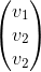 \begin{pmatrix} v_1\\ v_2 \\ v_2  \end{pmatrix}